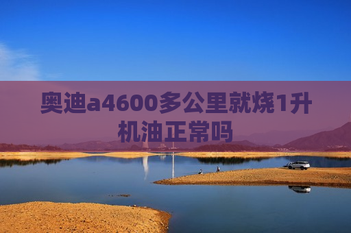 奥迪a4600多公里就烧1升机油正常吗