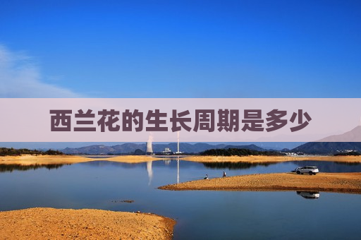 西兰花的生长周期是多少